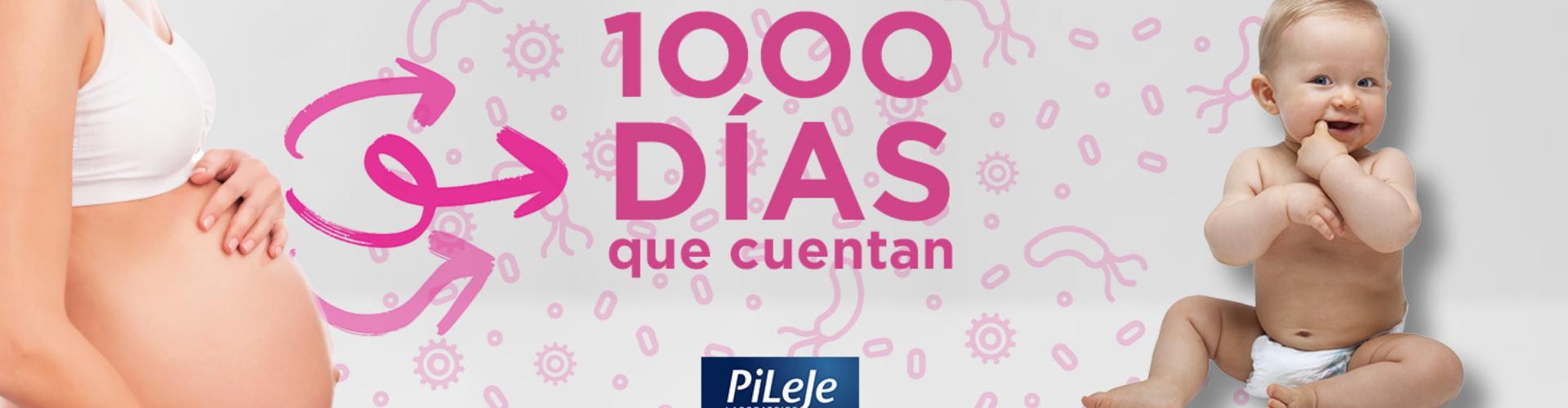1000 dias banner