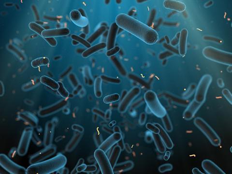 Banner - Microbiotas, ¿de qué se trata